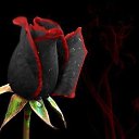 ���� ����� ��������, ���������, 59 ��� - ��������� 15 ���� 2015