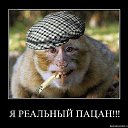 ���� ���������, ����� - ��������� 21 ��� 2015 � ������ ������� ���
