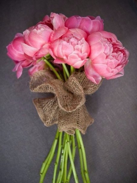    ,         ,   ... - 4