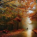  , -, 48  -  20  2015    