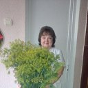 ���� �����, ������, 52 ���� - ��������� 5 ���� 2015 � ������ ���� ����������