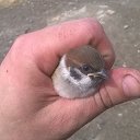 ������� �� ������� ���� ����������