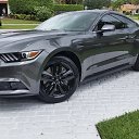 ���� ����, ������, 55 ��� - ��������� 21 ������� 2015 � ������ ���� ����������