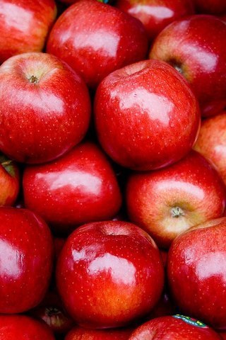 Apple idioms. Apple of (someone's) eye- " " -- ,  ...