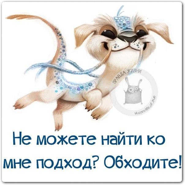   - 1  2015  01:14
