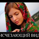 ���� ������, �����-��������� - ��������� 16 ��� 2015 � ������ ������ ��������