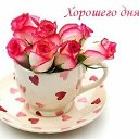 ���� �����, ��������, 62 ���� - ��������� 6 ������� 2015 � ������ ������ ��������
