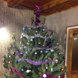 ���� ������, ���������, 49 ��� - ��������� 19 �������� 2015