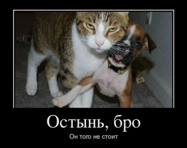 ������������ ���� - 10 ���� 2015 � 21:52