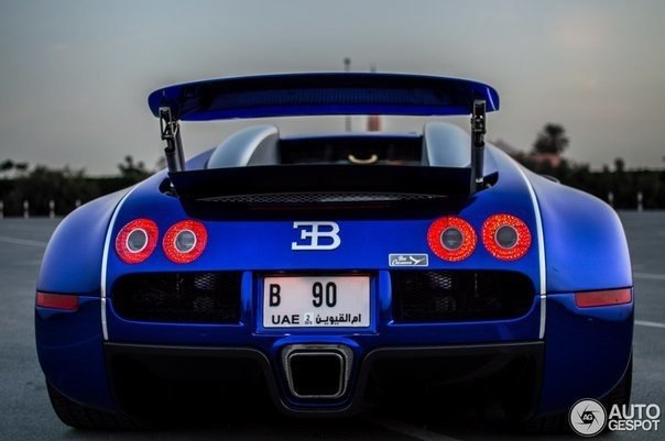 Bugatti Veyron, 200511.   W16/4 Quad-Turbo (7993 )  1 001 ..  ... - 7