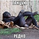 ���� �������, �����, 53 ���� - ��������� 10 �������� 2015 � ������ ������ ��������