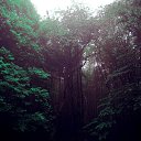 ���� ���� ���, �����-��������� - ��������� 16 �������� 2015 � ������ ������ ��������