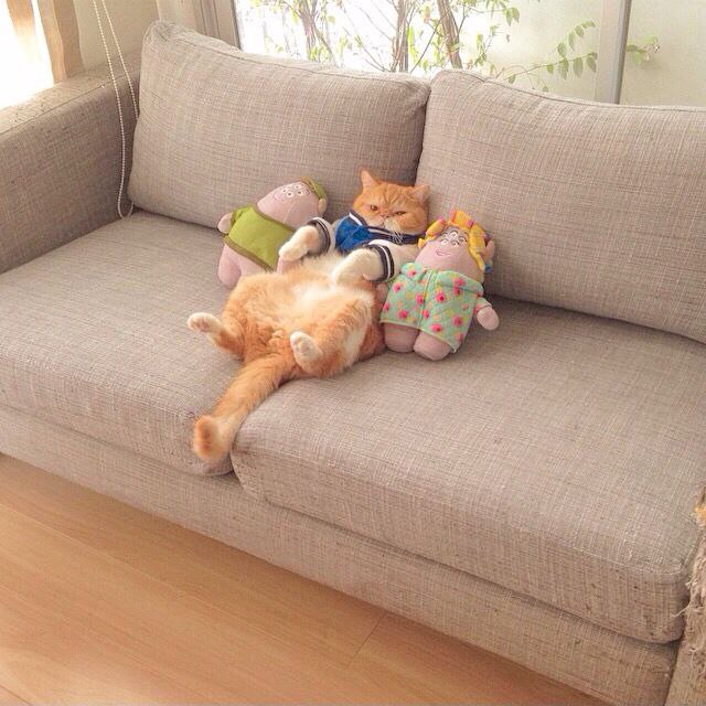  :3