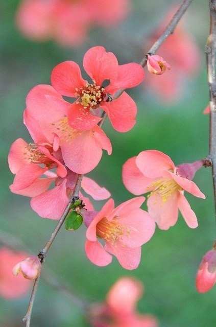    .      ,   :    ... - 2