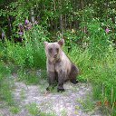 ������-���������� ����� �� ������. �� ������� ���� ����������