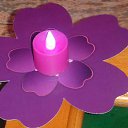 ���� Narval (54 ��.), ������, 67 ��� - ��������� 23 ������ 2015 � ������ ���� ����������
