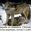 ���� ��������, ������, 67 ��� - ��������� 27 ��� 2015 � ������ ���������...�