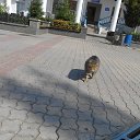 ��������������� ���, ��-����� � ���� �� ��� �������� �� ������� ���� ����������