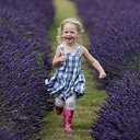 ���� ������, �������, 48 ��� - ��������� 25 ��� 2015 � ������ ���� ����������