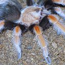 ���� ���������, ���������, 69 ��� - ��������� 22 �������� 2015