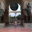 ���� �������, ������-��-���� - ��������� 2 ���� 2015 � ������ ���� ����������