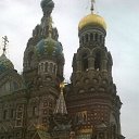 ���� ����, �����-���������, 40 ��� - ��������� 29 ��� 2015