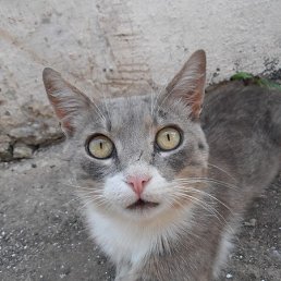 �������, ����, 25 ���