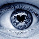  , -, 23  -  24  2015    