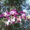 .   .  2015.  .  6-.