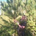 ���� �������, ����, 52 ���� - ��������� 7 �������� 2015 � ������ ���� ����������