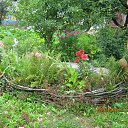 ���� ����, �������, 50 ��� - ��������� 19 ������� 2015 � ������ ���� ����������