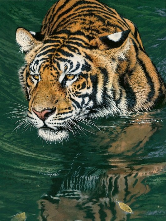 Художник Fabrizio Caforio. - 6