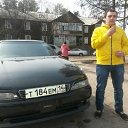 ���� ������, ��������, 37 ��� - ��������� 2 ���� 2015 � ������ ���� ����������