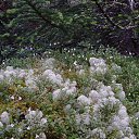 ����� ����. �� ������� ���� ����������