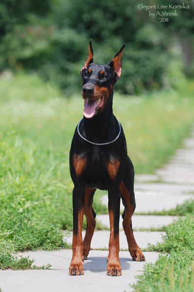 ����� ������� - 8 �������� 2015 � 18:05 - 3