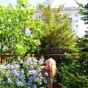 ���� ����, ������, 39 ��� - ��������� 21 ���� 2015 � ������ ���� ����������