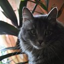 ���� ���������, ���� - ��������� 6 ���� 2015 � ������ ������ ��������