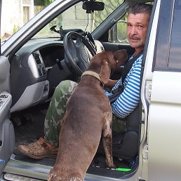 ���� ����, ���������, 63 ���� - ��������� 26 ������� 2015