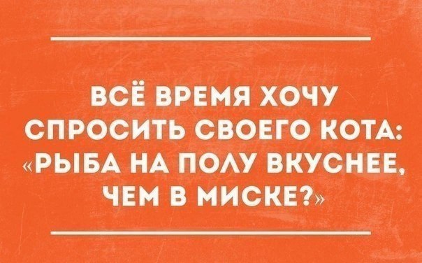    - 29  2015  16:15
