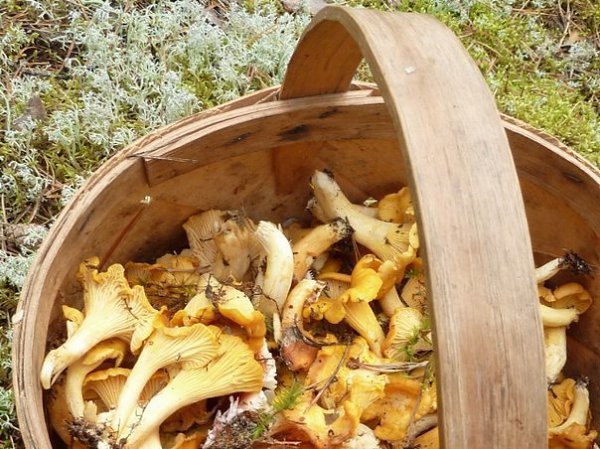 10 продуктов, по которым можно соскучиться за границей.1. Бородинский и дарницкийПервое, что можно ... - 10