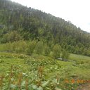 ���� ������, ����, 34 ���� - ��������� 27 ���� 2015 � ������ ������ ��������