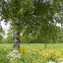 ���� ����, �����-���������, 57 ��� - ��������� 26 ������� 2015 � ������ ��������