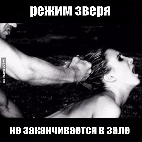 SportFeed - 6 ������� 2015 � 15:01