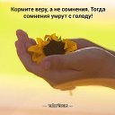 ���� ��������, ������ - ��������� 6 ��� 2015 � ������ ������ ��������