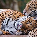  Elena....,  -  23  2015    