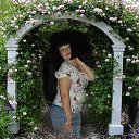 ���� ����, �����, 38 ��� - ��������� 26 ������� 2015 � ������ ���� ����������