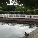 ���� �����, ����� - ��������� 3 ������� 2015 � ������ ���� ����������