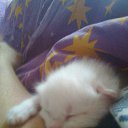 ���� ������, ��������, 50 ��� - ��������� 23 ���� 2015 � ������ ���� ����������