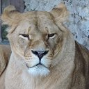 ���� Galinka, �������, 48 ��� - ��������� 24 ������� 2015 � ������ ������ ��������