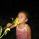 ���� �������, ���� - ��������� 6 �������� 2015 � ������ ���� ����������